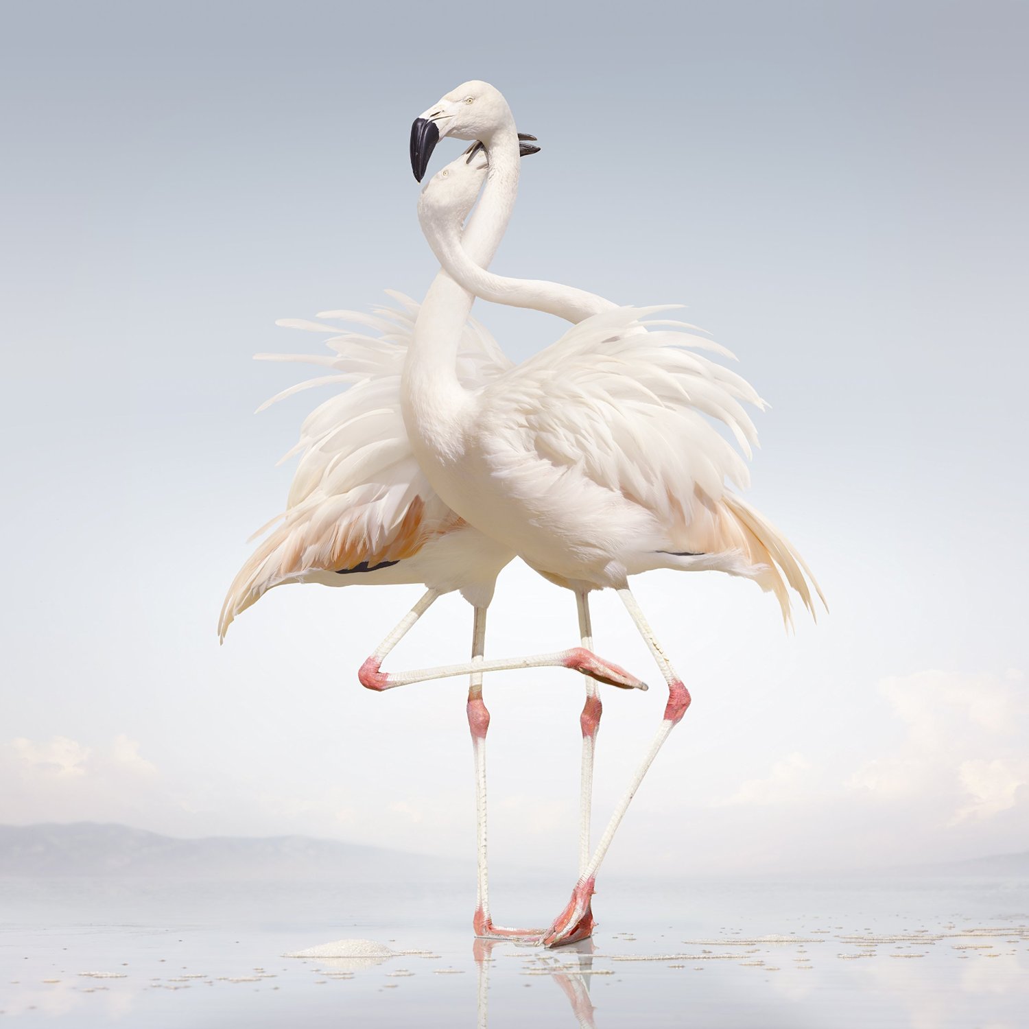 Rustie – Green Language