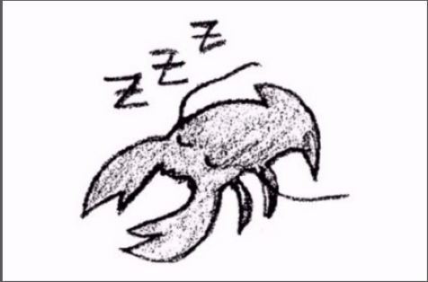 NEWS: Lobster Theremin Launches Ambient Label – Lobster Sleep Sequence